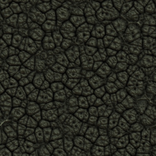 Variation 8