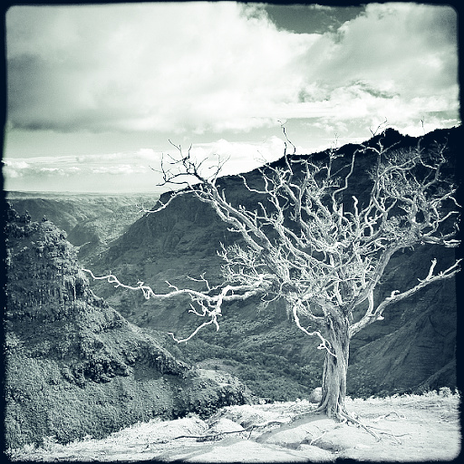 Variation 1