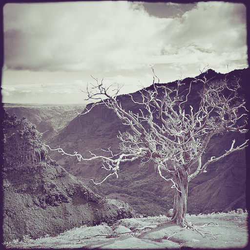 Variation 3