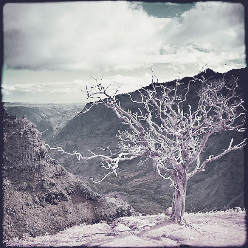 Variation 4