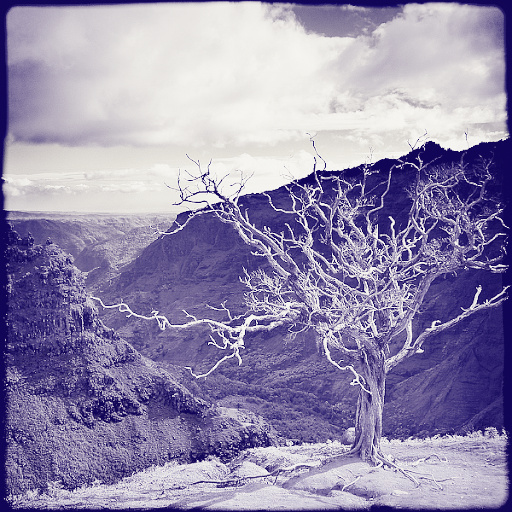 Variation 5