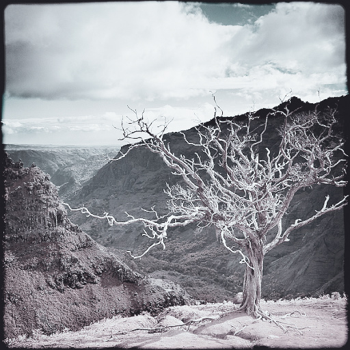 Variation 6