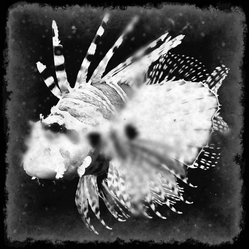 Variation 6