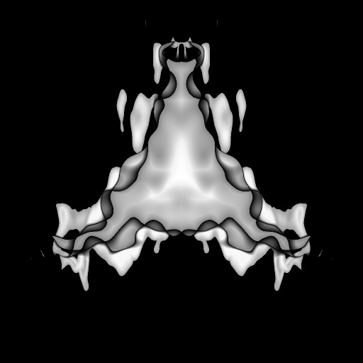 Bump Map