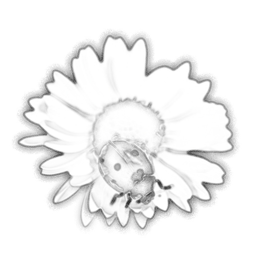 Ambient Occlusion Map