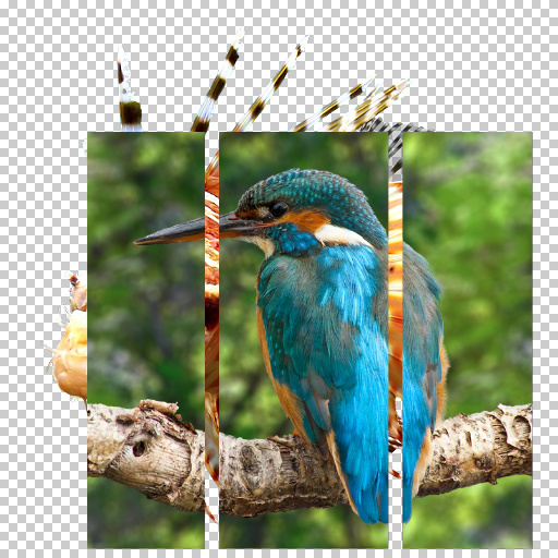 Variation 6