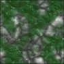 dragonskin