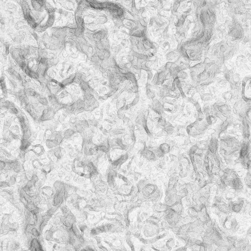 Ambient Occlusion Map