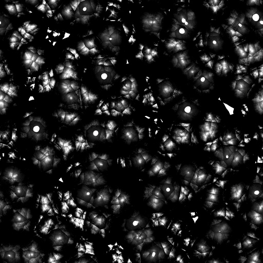 Reflective Occlusion Map