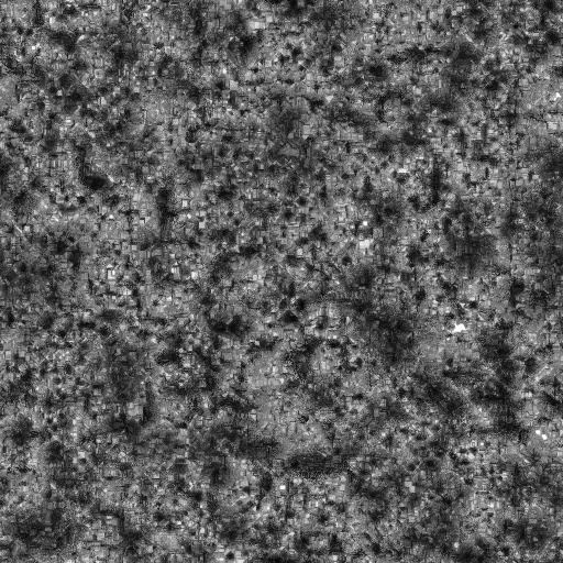 Ambient Occlusion Map