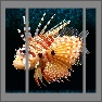 Triptych maker 2