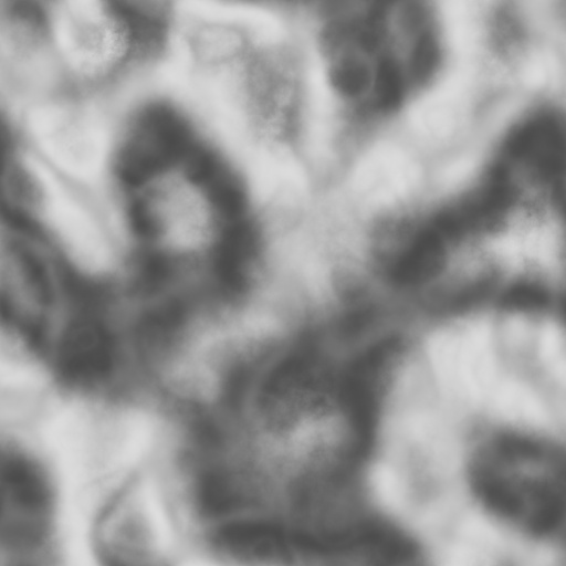 Bump Map