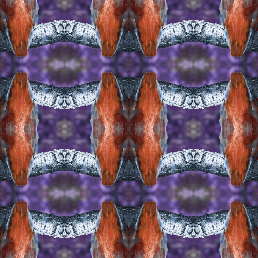Variation 1