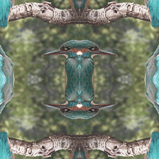 Variation 8