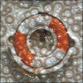 cellsnoise1