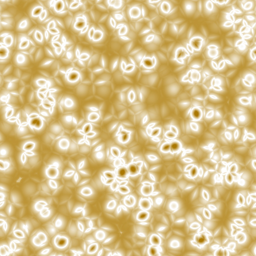Variation 5