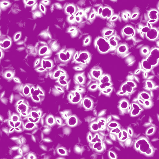Variation 8