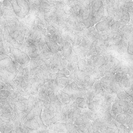 Ambient Occlusion Map