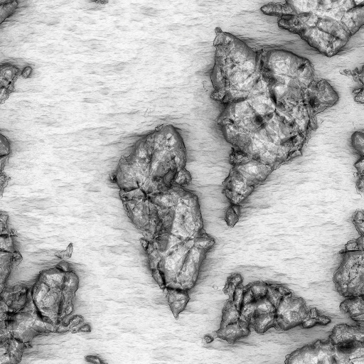 Ambient Occlusion Map