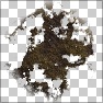 Splat N Stain