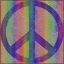 peace dude