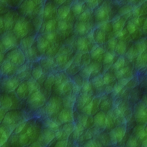 Variation 6