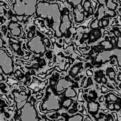 Bump Map
