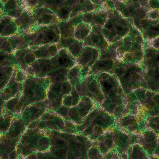 Variation 1