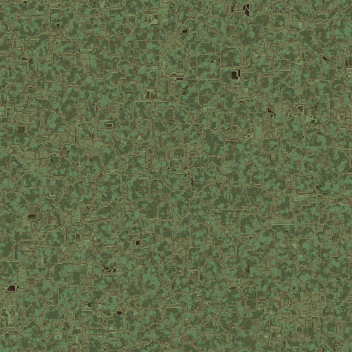 Variation 8