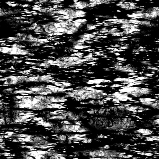 Bump Map