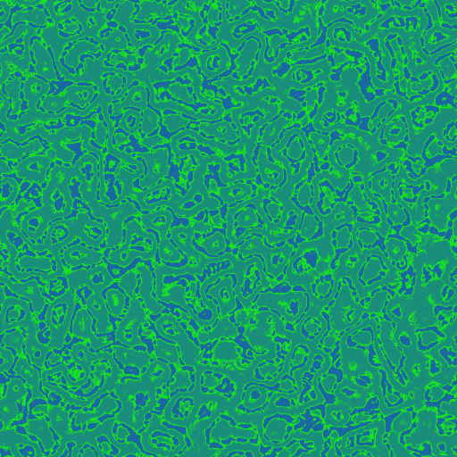 Variation 6