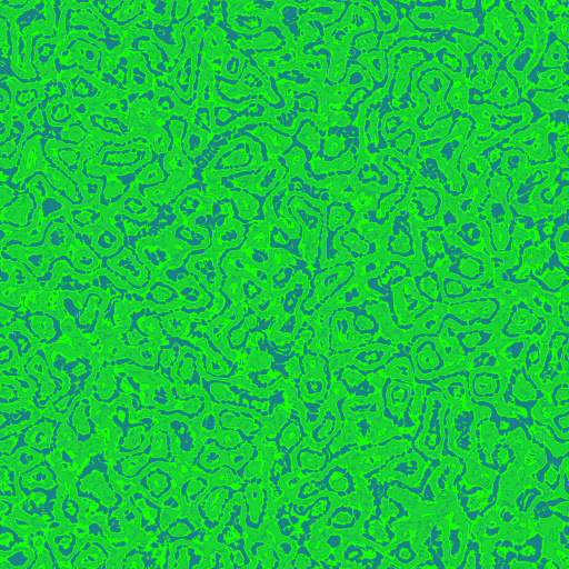 Variation 7