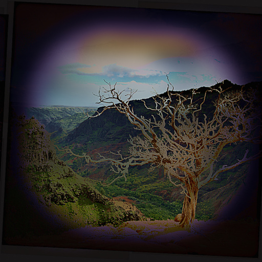 Variation 4