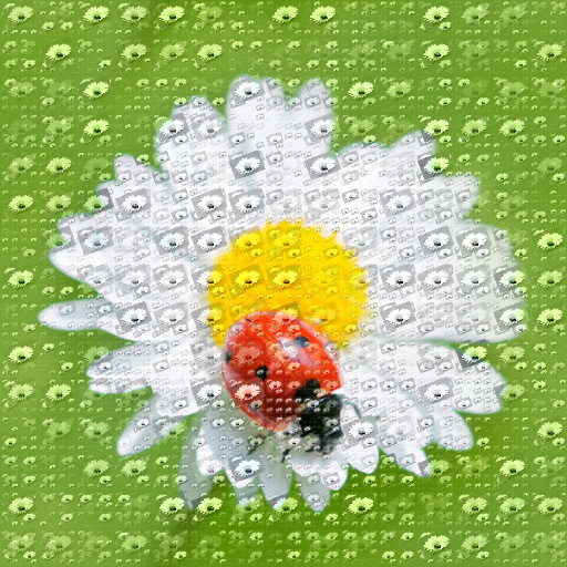 Variation 6