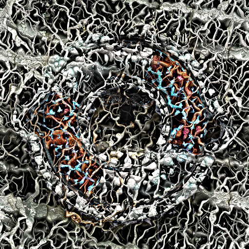 Variation 1