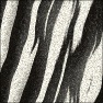 Zebra Fur