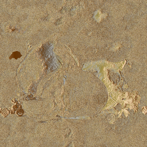 Diffuse Map