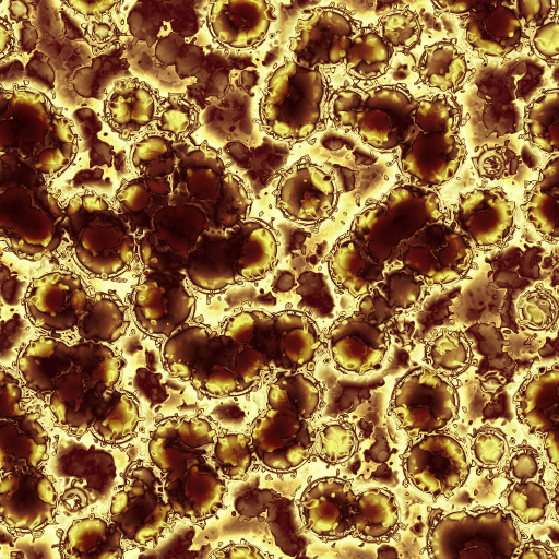 Variation 7