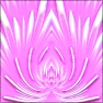 Artistic : Lotus Flower