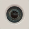 Robot : Robotic Eye