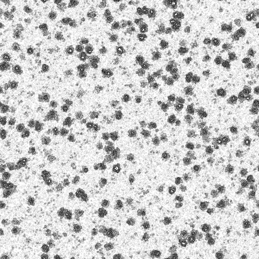 Ambient Occlusion Map