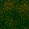 Old Dragon Skin