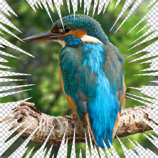 Variation 1