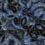 Alien Skin