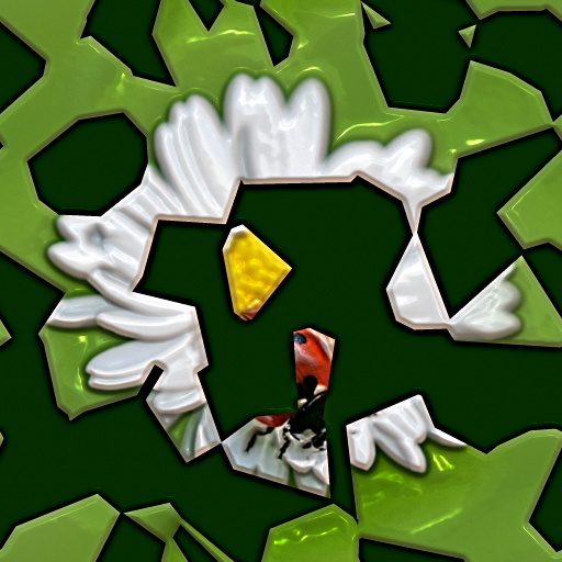 Variation 8
