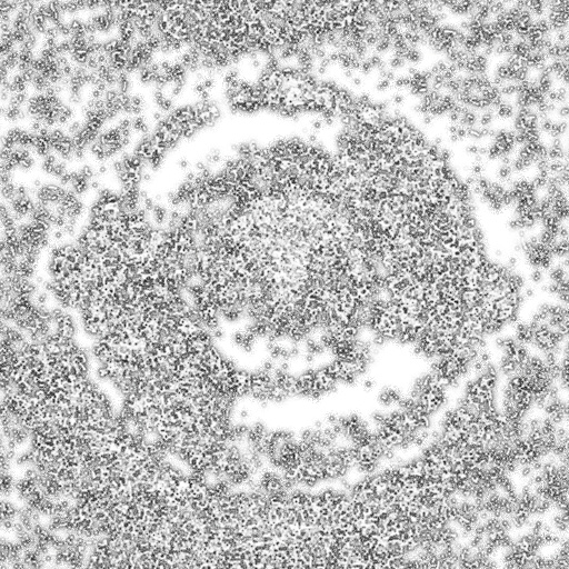 Ambient Occlusion Map