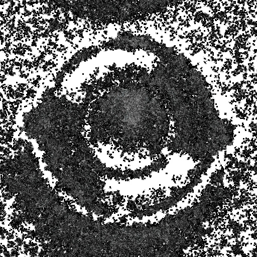 Diffuse Map