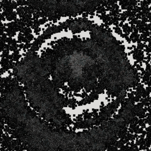 Variation 1