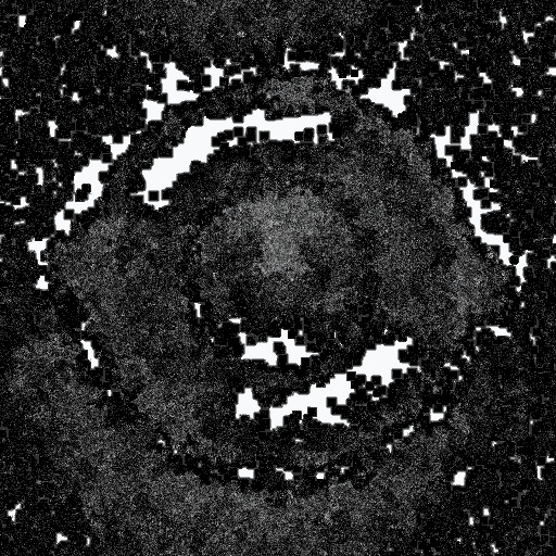 Variation 3