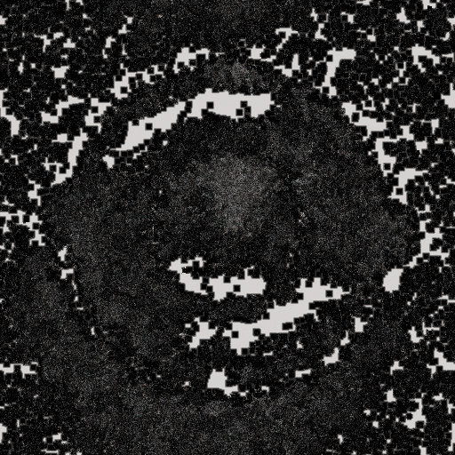 Variation 6